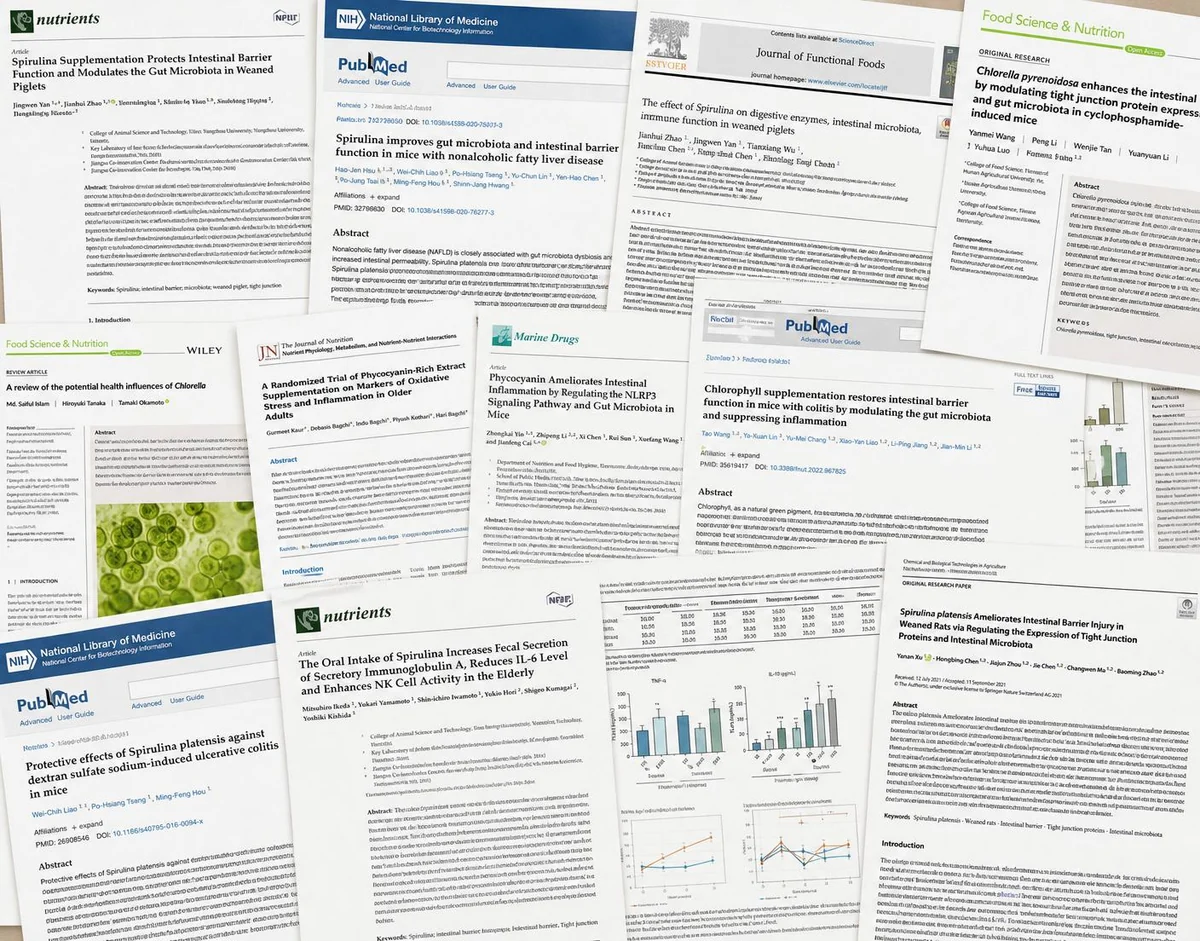 Collage of peer-reviewed research papers on spirulina, chlorella, phycocyanin and chlorophyll